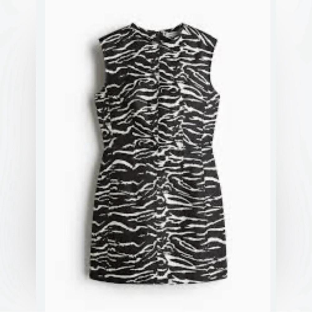 Chic H&M Black & White Zebra Print Sleeveless Dress vedio - Picture 8 of 8